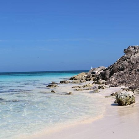 Hermoso Studio Con Alberca Zona Hoteles Cancun Cancún Buitenkant foto